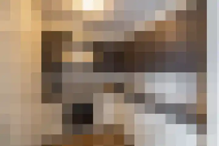 Delfstraat 37 Loppersum thumbnail 16