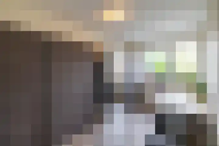 Delfstraat 37 Loppersum thumbnail 30