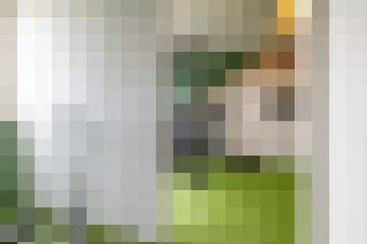 Delfstraat 37 Loppersum thumbnail 34