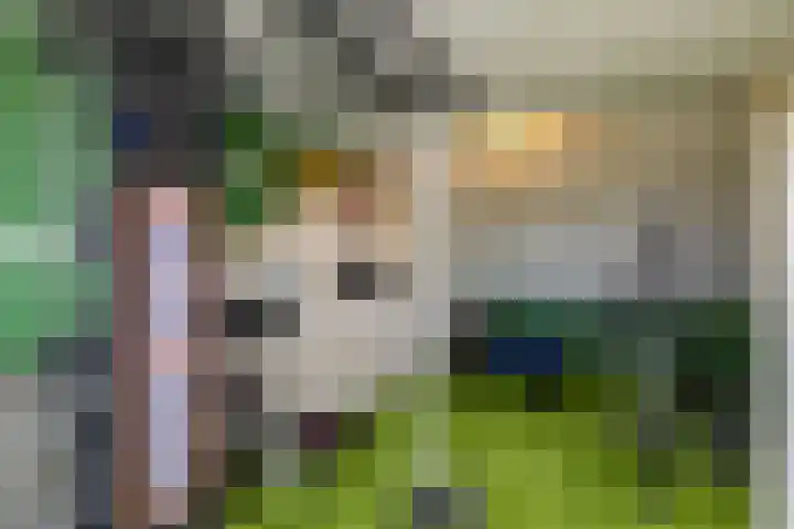 Delfstraat 37 Loppersum thumbnail 36
