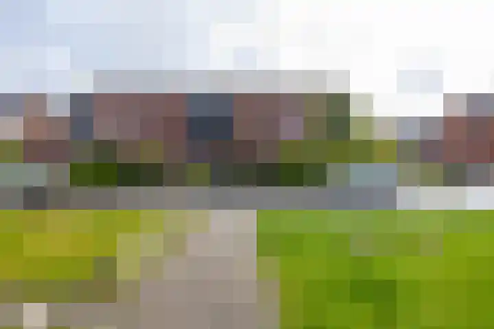 Delfstraat 37 Loppersum thumbnail 4