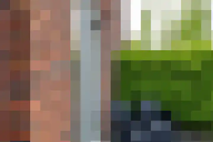 Delfstraat 37 Loppersum thumbnail 5