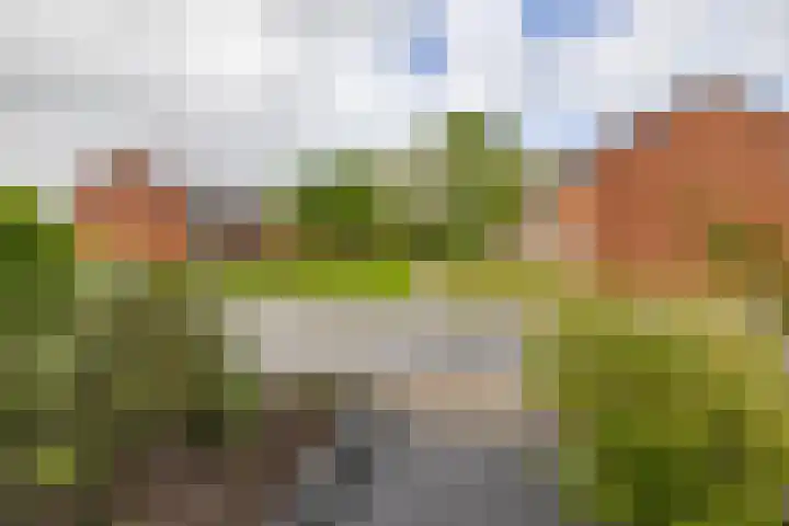 Delfstraat 37 Loppersum thumbnail 6
