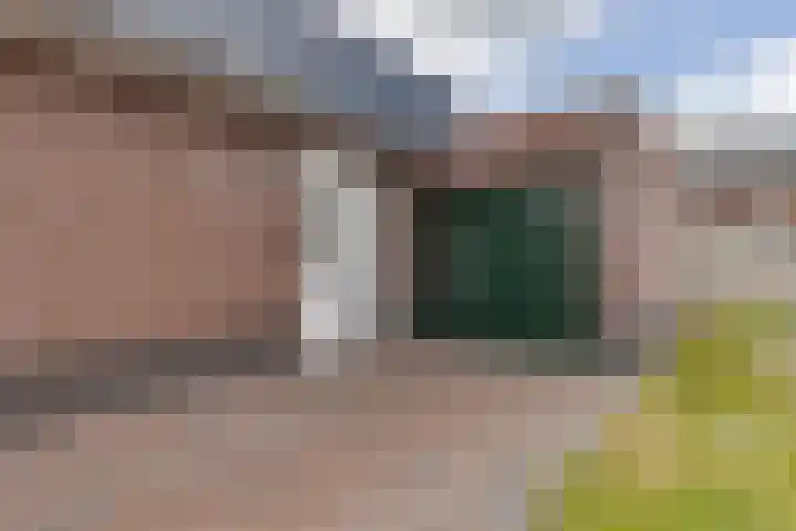 Delfstraat 46 Loppersum thumbnail 31