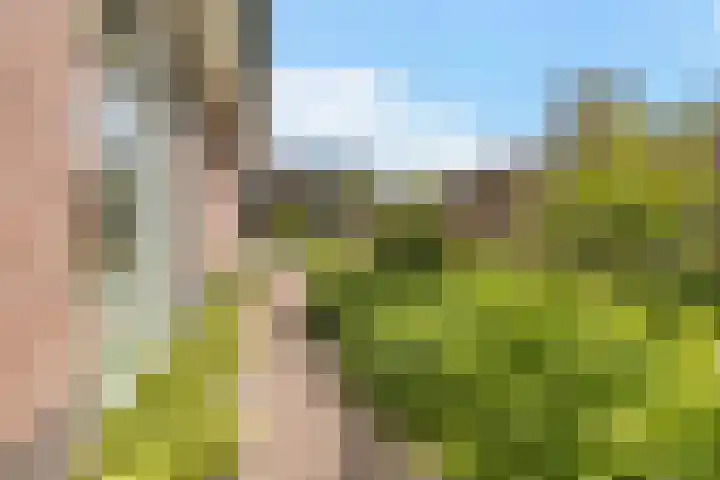 Delfstraat 46 Loppersum thumbnail 32