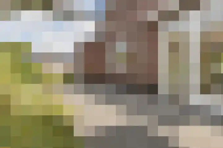 Delfstraat 46 Loppersum thumbnail 34