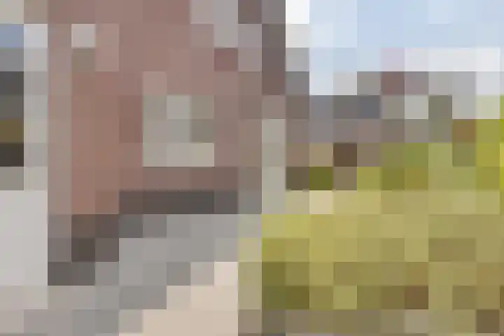 Delfstraat 46 Loppersum thumbnail 35