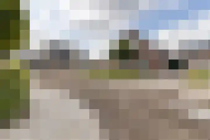 Delfstraat 46 Loppersum thumbnail 37