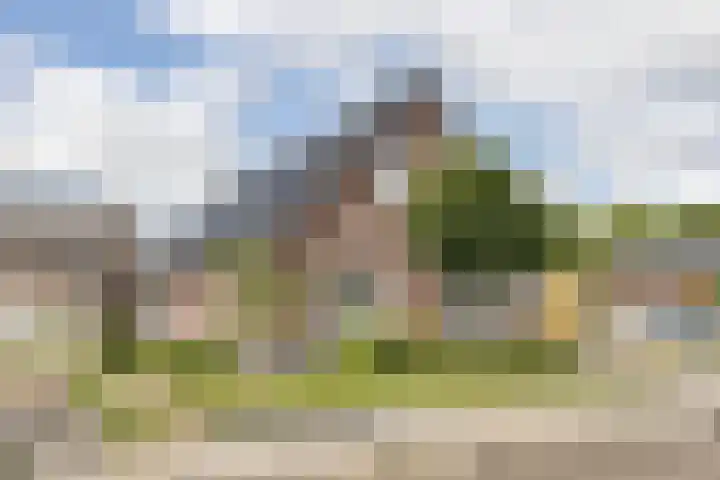 Delfstraat 46 Loppersum thumbnail 4