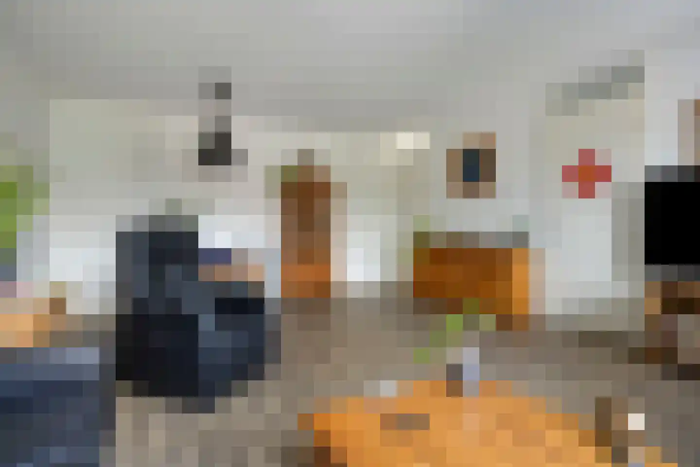 Delfstraat 61 Loppersum thumbnail 14
