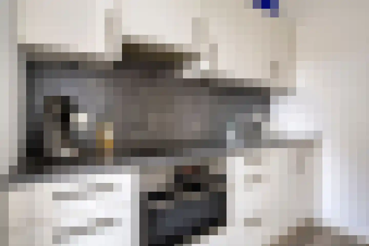 Delfstraat 61 Loppersum thumbnail 18