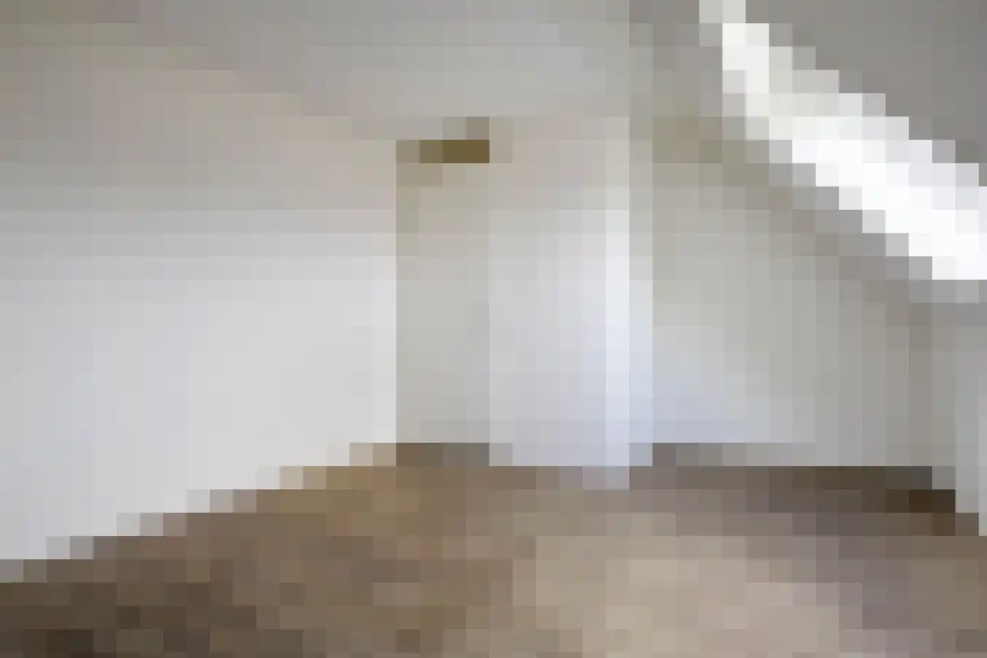 Delfstraat 61 Loppersum thumbnail 25