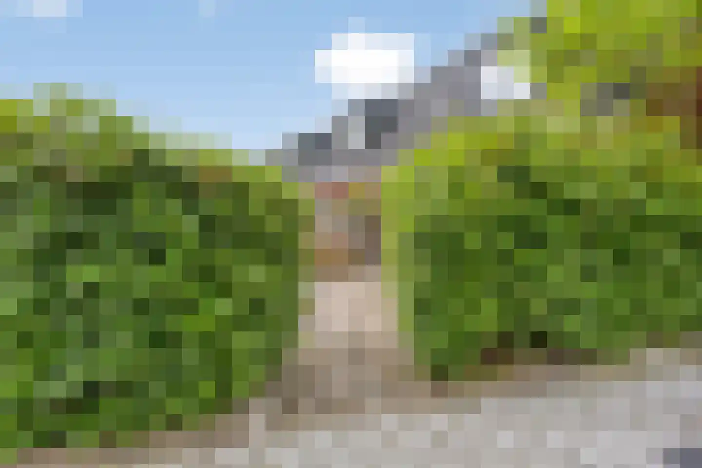 Delfstraat 61 Loppersum thumbnail 38