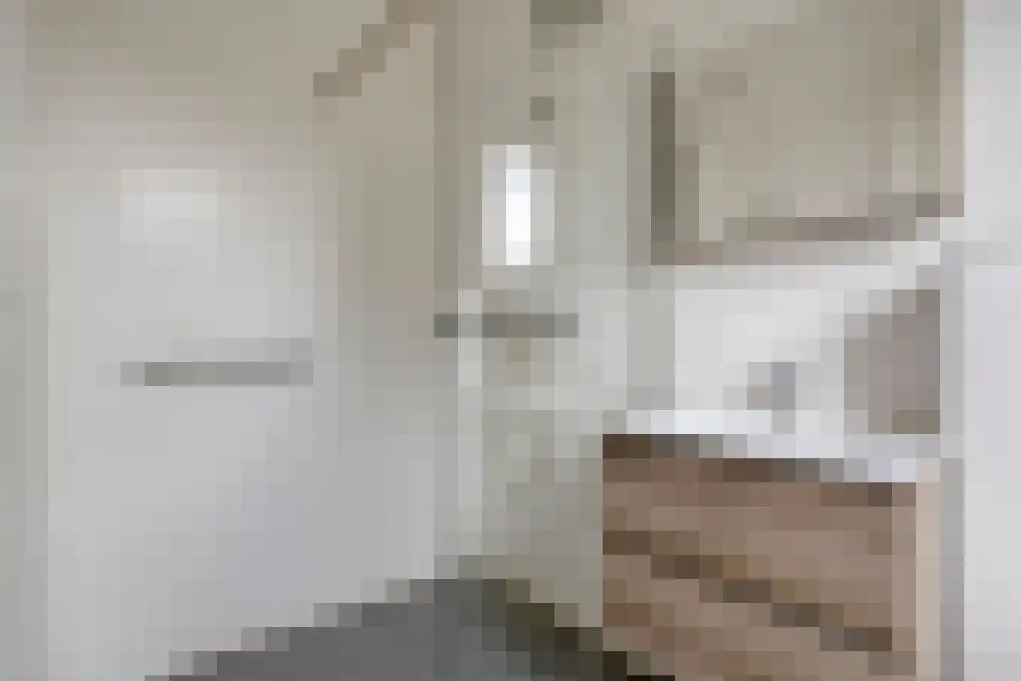 Delfstraat 61 Loppersum thumbnail 6