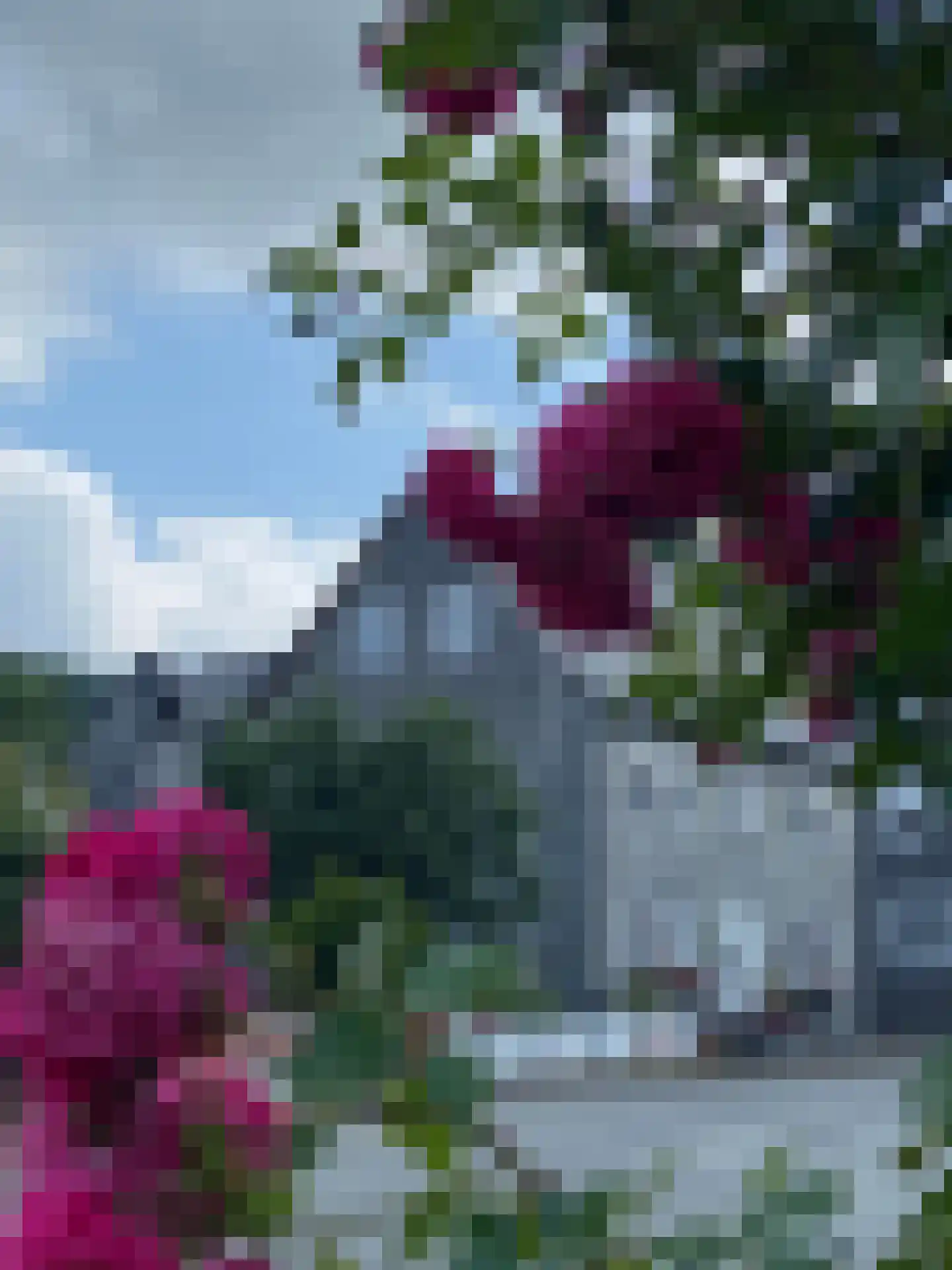 Delft 9 59955 Winterberg Delft thumbnail 49