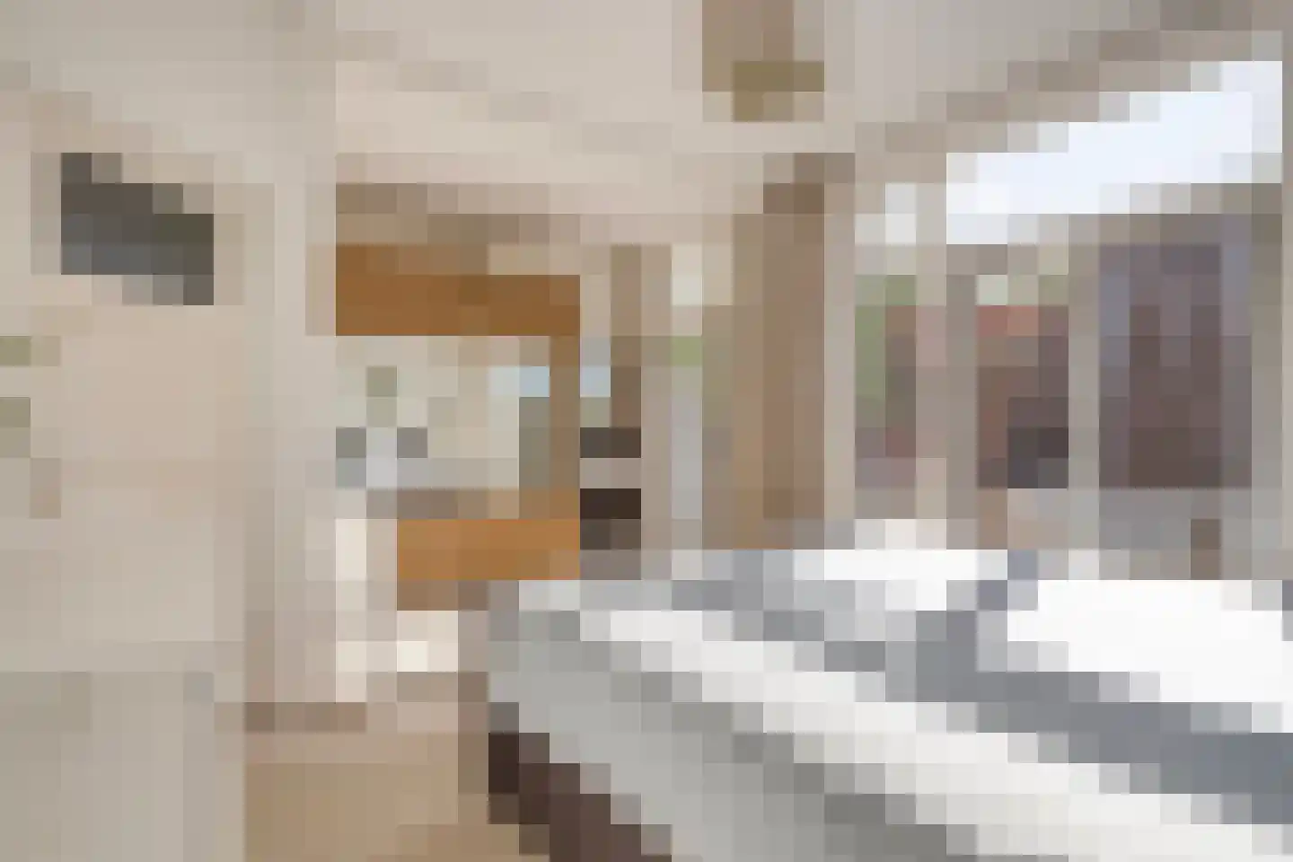 Delftlaan 197 Haarlem thumbnail 26