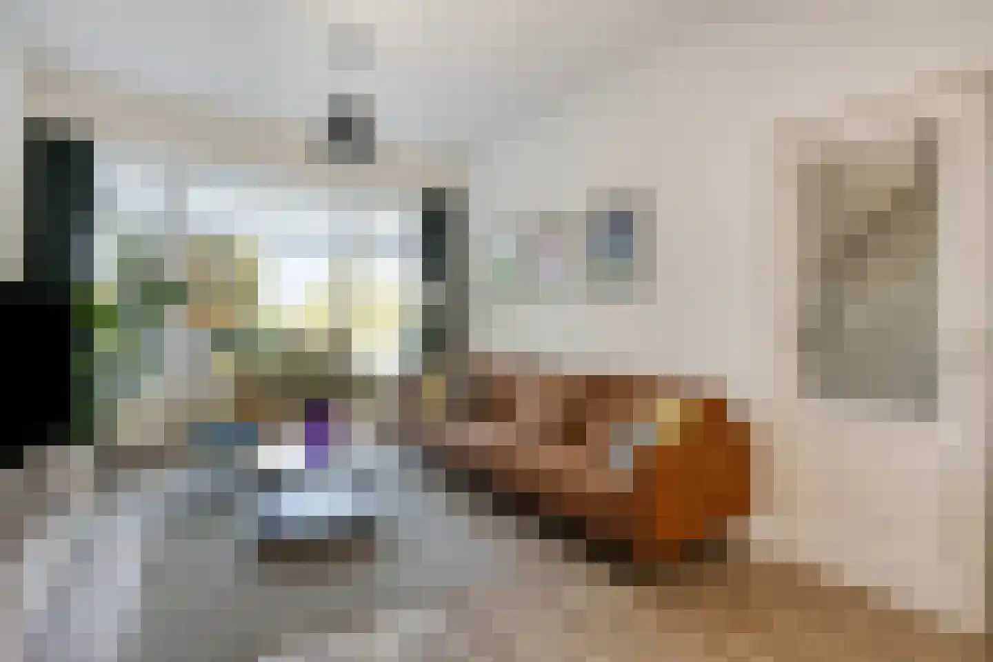 Delftlaan 197 Haarlem thumbnail 8