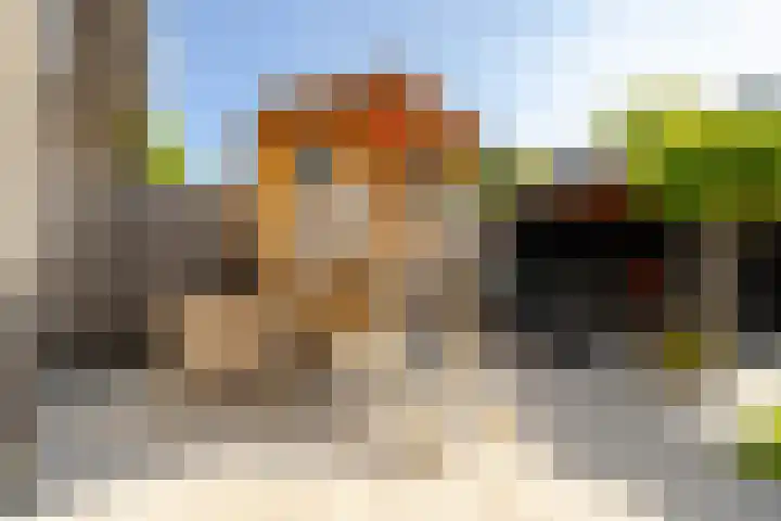 Delftlaan 221 Haarlem thumbnail 34