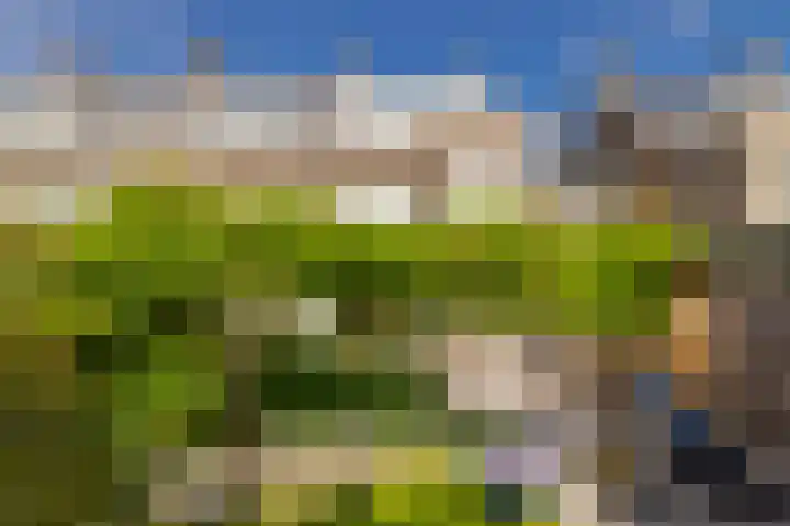 Delftlaan 221 Haarlem thumbnail 37
