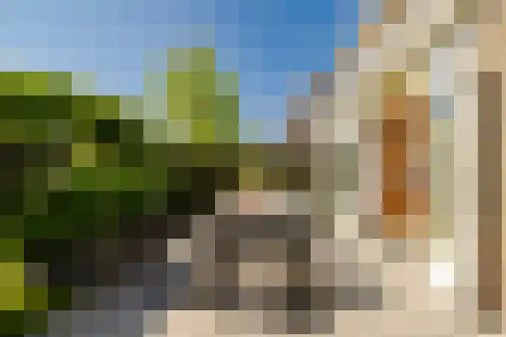 Delftlaan 221 Haarlem thumbnail 38