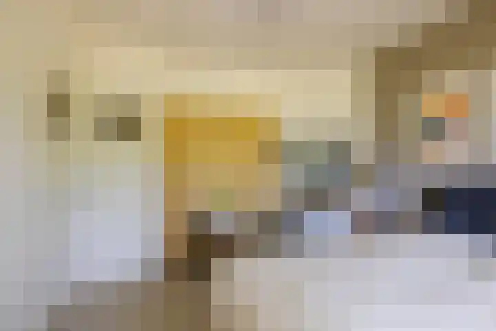 Delftlaan 221 Haarlem thumbnail 54