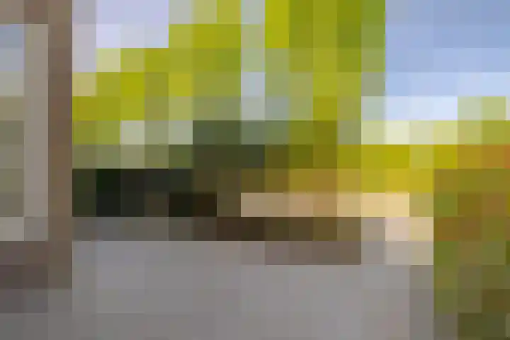 Delftlaan 221 Haarlem thumbnail 69