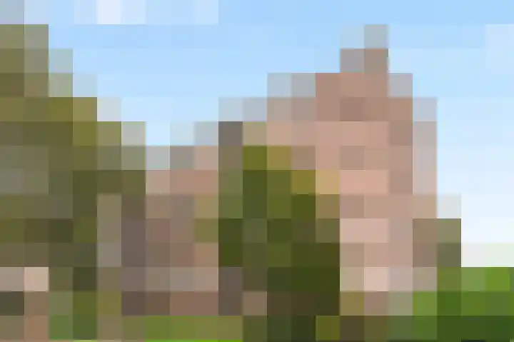 Delftlaan 275 III Haarlem thumbnail 32