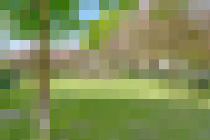 Delftlaan 279 II Haarlem thumbnail 26