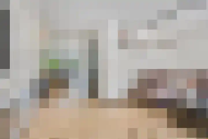 Delftlaan 29 Assendelft thumbnail 12