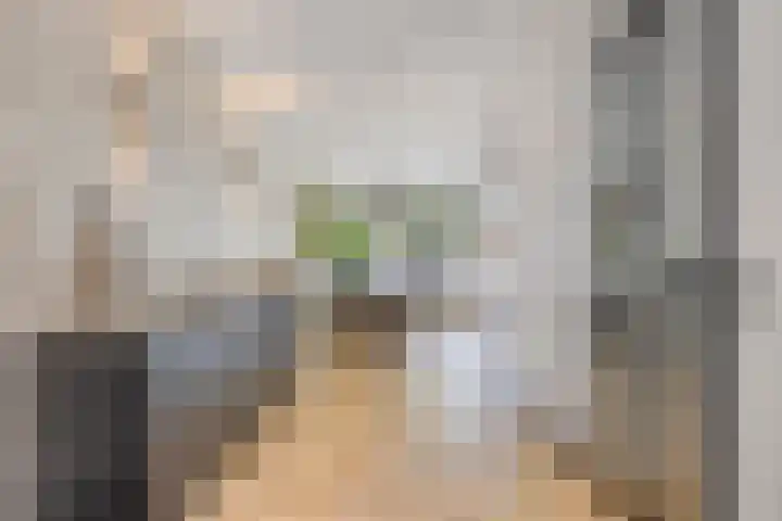 Delftlaan 29 Assendelft thumbnail 16