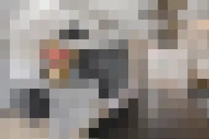 Delftlaan 29 Assendelft thumbnail 18