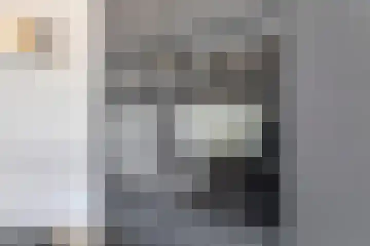 Delftlaan 29 Assendelft thumbnail 21