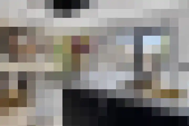 Delftlaan 29 Assendelft thumbnail 22