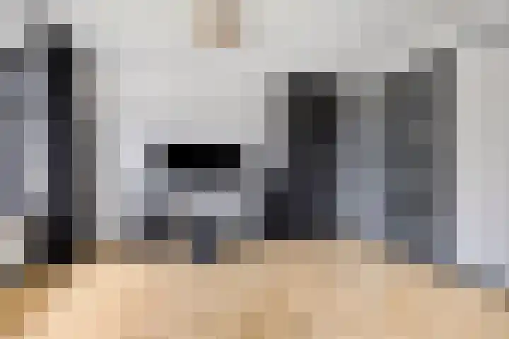 Delftlaan 29 Assendelft thumbnail 23