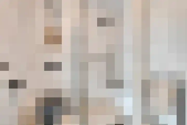 Delftlaan 29 Assendelft thumbnail 27