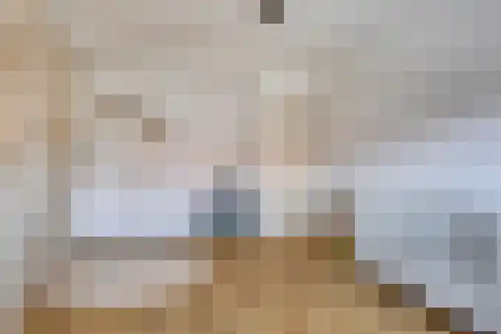 Delftlaan 29 Assendelft thumbnail 32