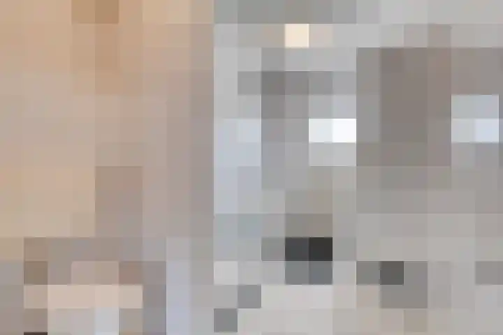 Delftlaan 29 Assendelft thumbnail 33