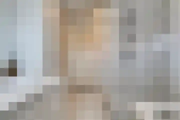 Delftlaan 29 Assendelft thumbnail 34