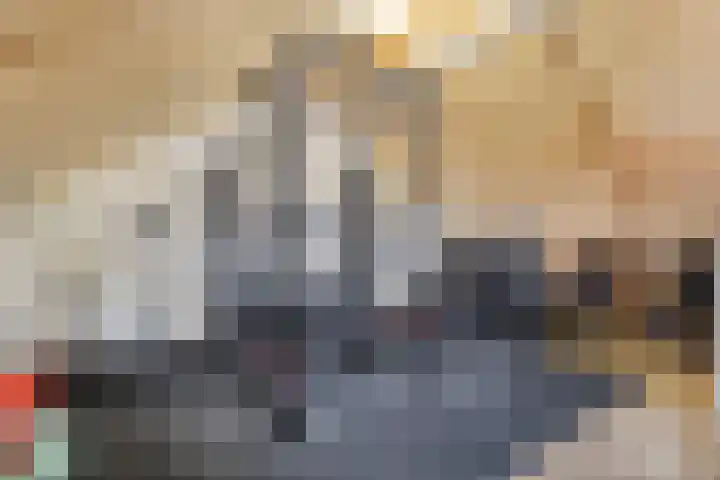 Delftlaan 29 Assendelft thumbnail 36