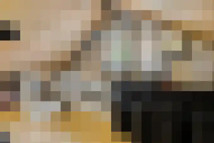 Delftlaan 29 Assendelft thumbnail 37