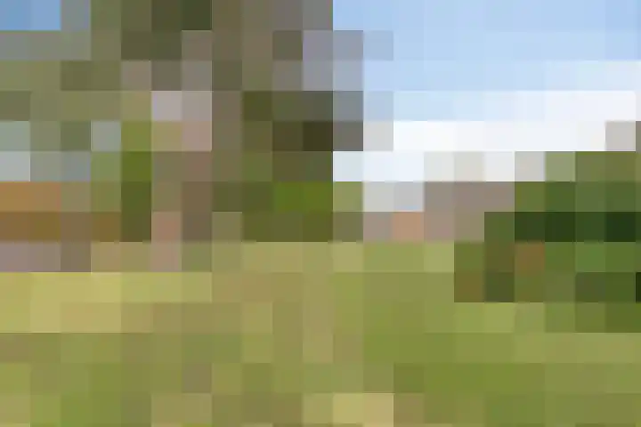 Delftlaan 29 Assendelft thumbnail 46