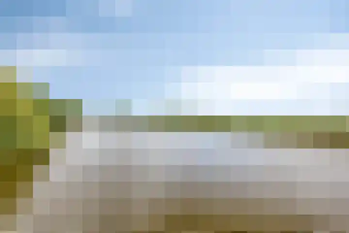 Delftlaan 29 Assendelft thumbnail 48