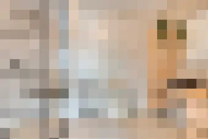 Delftlaan 29 Assendelft thumbnail 5