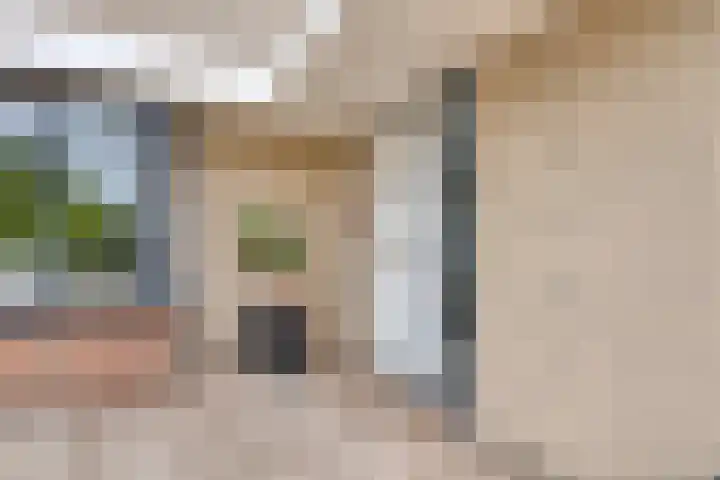 Delftlaan 29 Assendelft thumbnail 8