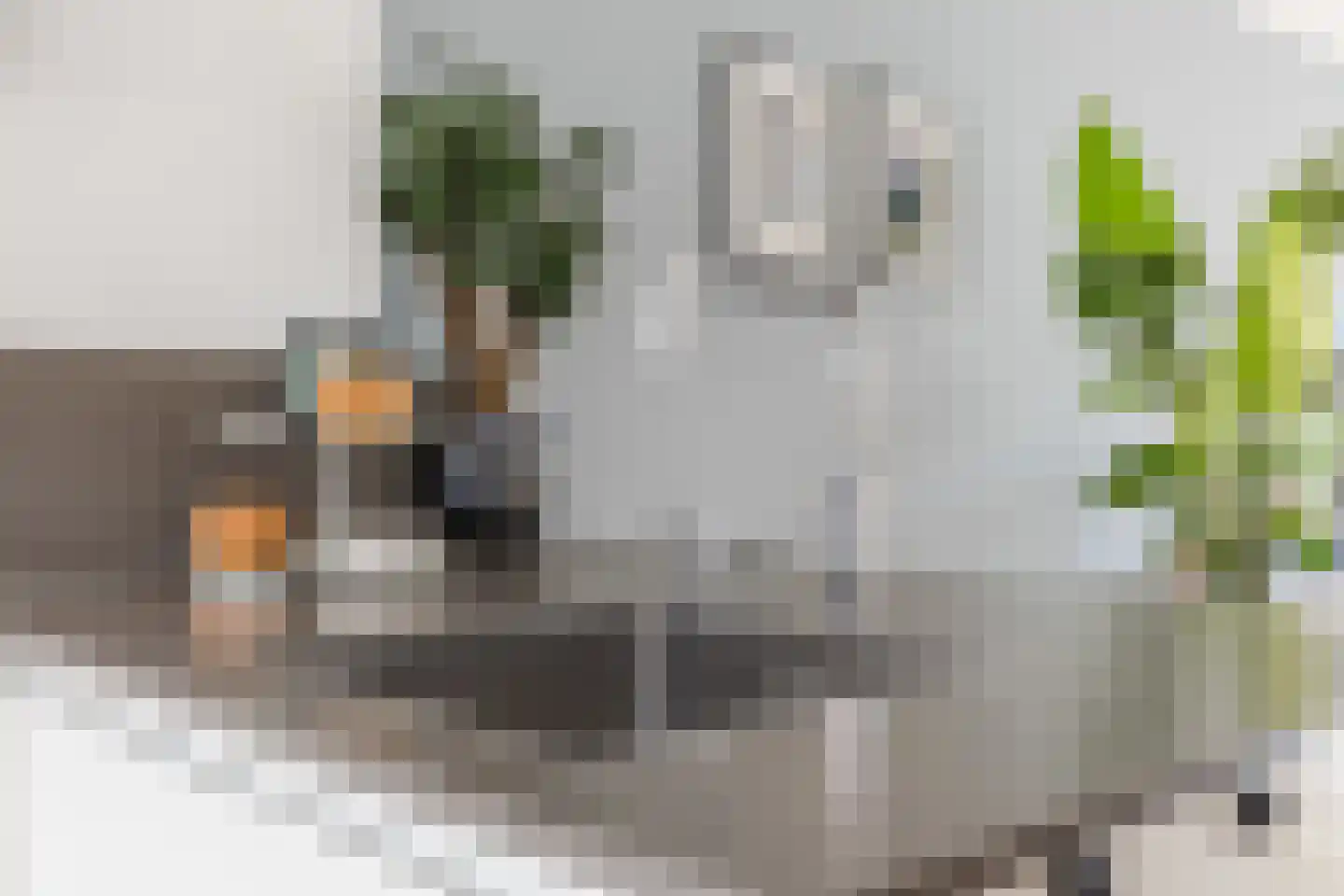 Delftlaan 29 D Assendelft thumbnail 14