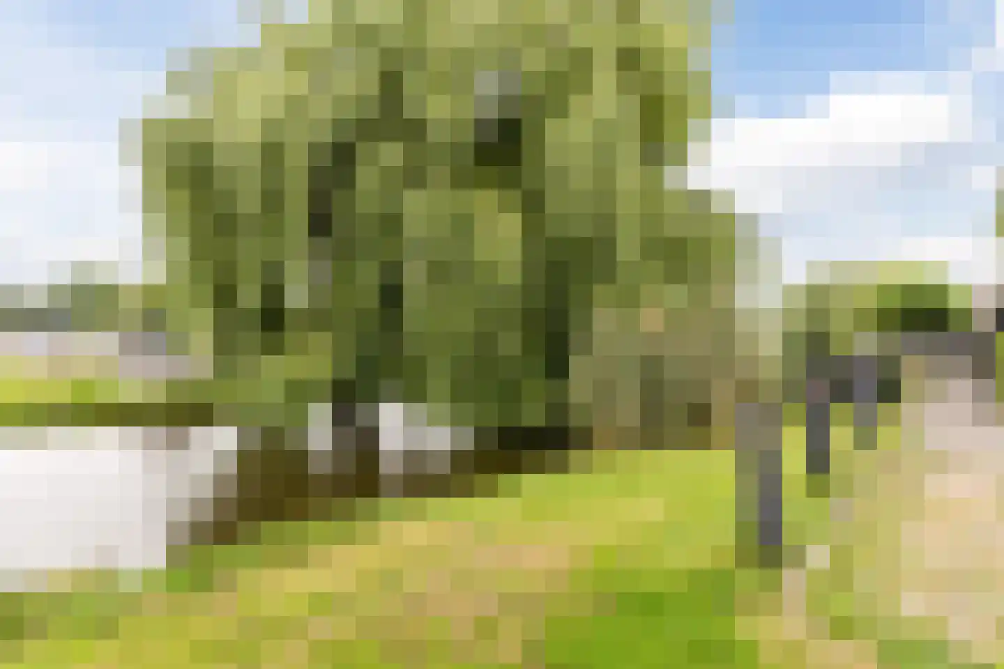 Delftlaan 29 D Assendelft thumbnail 37