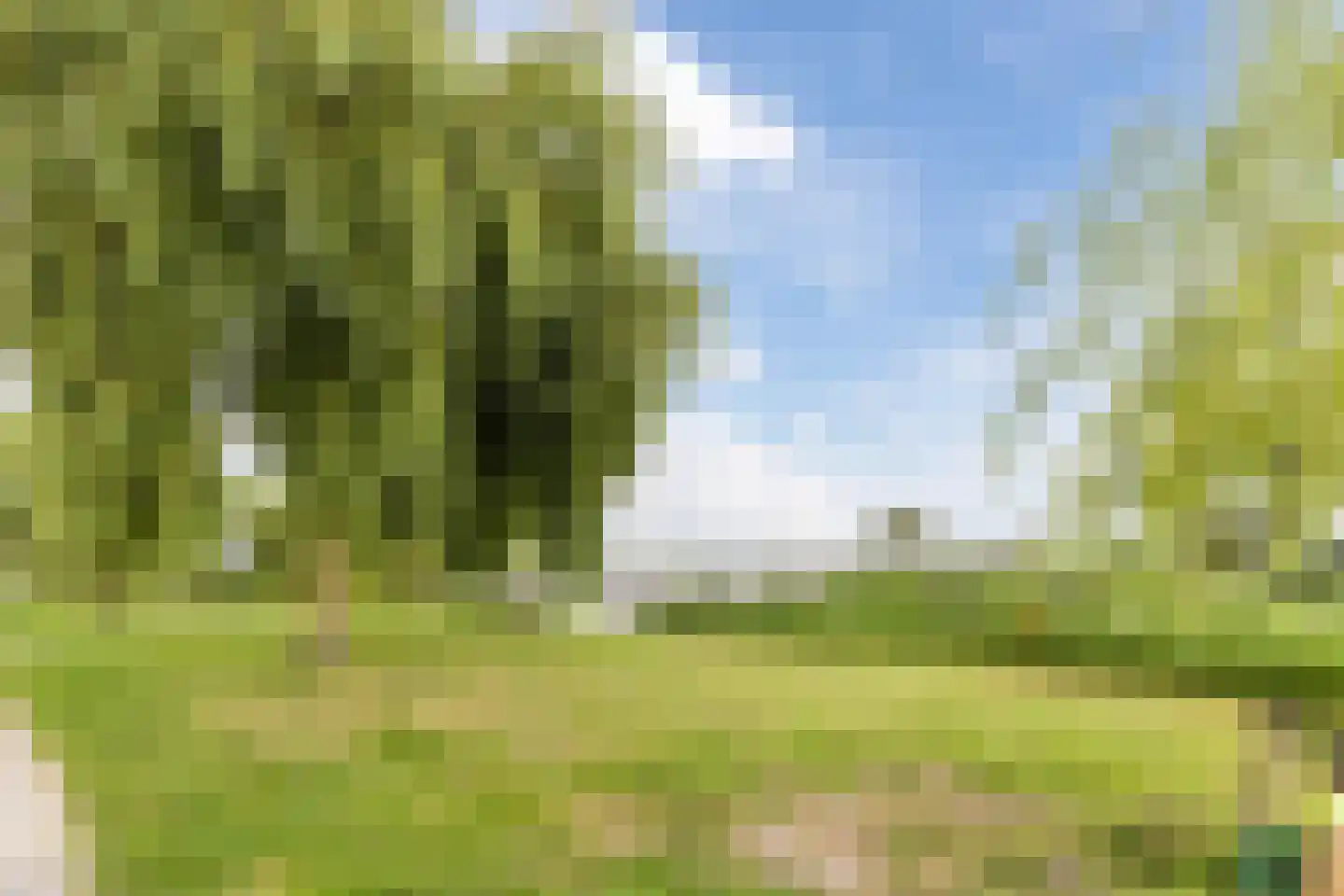 Delftlaan 29 D Assendelft thumbnail 38