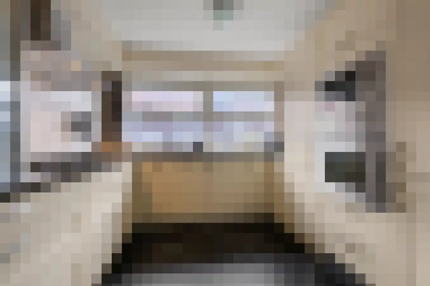 Delftlaan 29 E Assendelft thumbnail 11
