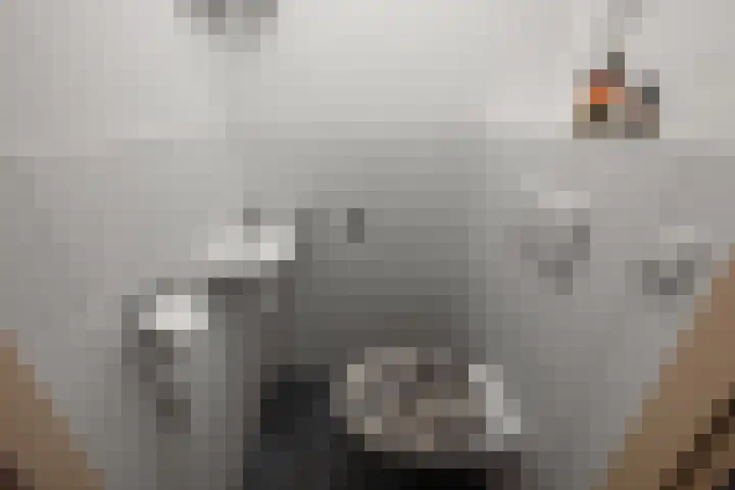 Delftlaan 29 E Assendelft thumbnail 17