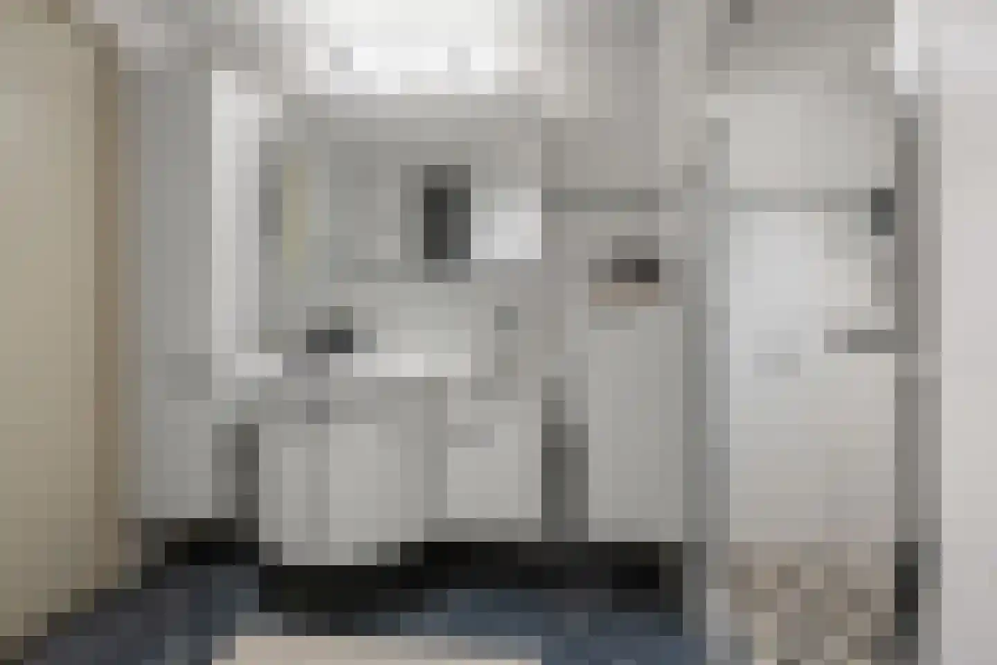 Delftlaan 29 E Assendelft thumbnail 27